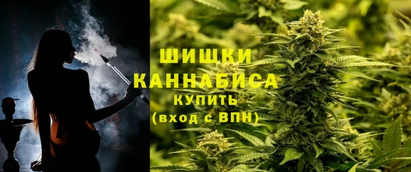 apvp Михайлов