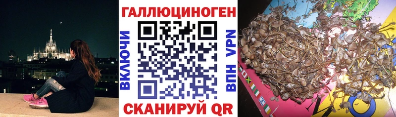 Псилоцибиновые грибы Magic Shrooms  Райчихинск 